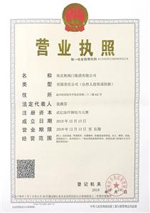 營(yíng)業(yè)執(zhí)照-正本（埃尼斯閥門集團(tuán)有限公司）